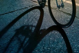 Shadows